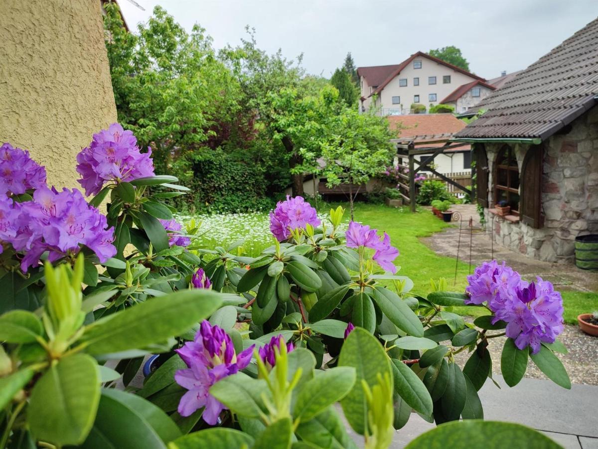 Webers Ferienwohnungen Hilders Экстерьер фото